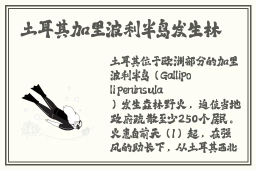 小东西几天没做水又变多了